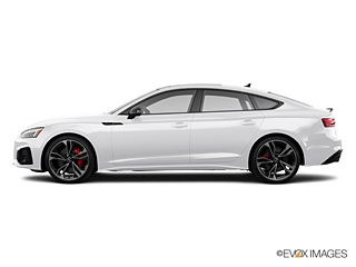 2024 Audi S5 Sportback