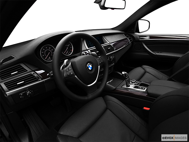 2010 BMW X6