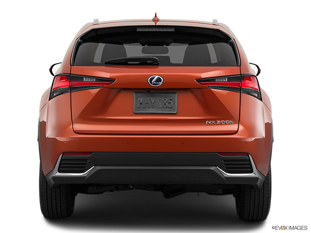 2020 Lexus NX