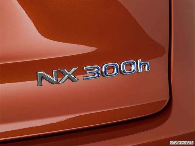 2021 Lexus NX