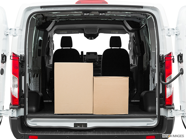 2021 Ford Transit Cargo Van