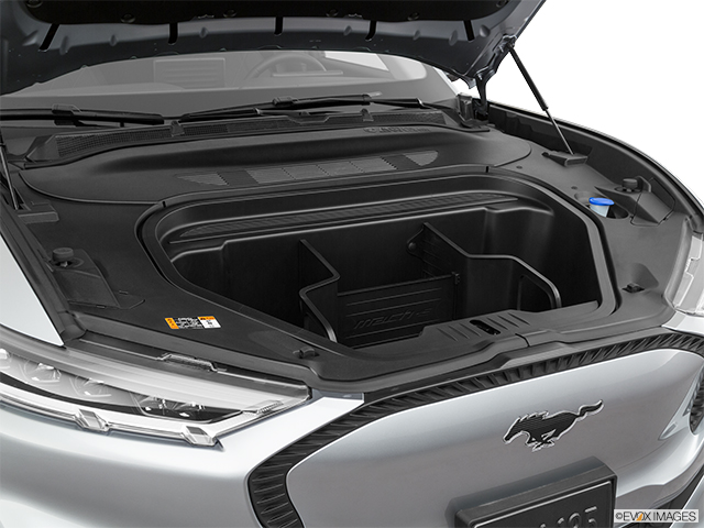 2021 Ford Mustang Mach-E