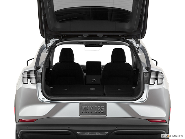 2021 Ford Mustang Mach-E