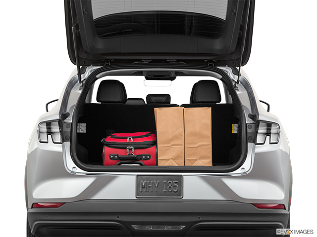 2021 Ford Mustang Mach-E