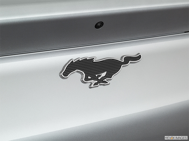 2021 Ford Mustang Mach-E